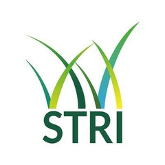 STRI