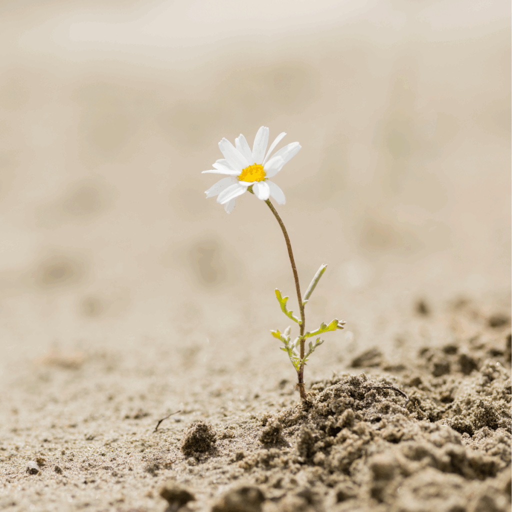 How Finance Leaders Can Build Resilience